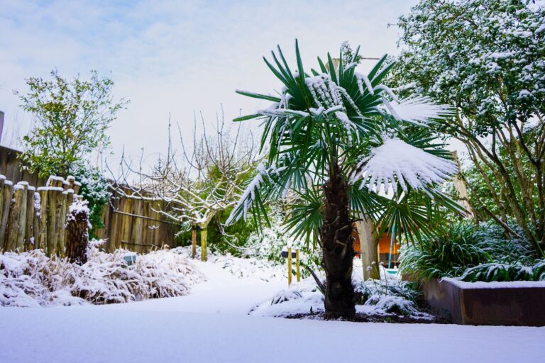 Jos Bouwhuis Tuinen | Kindvriendelijke balinese tuin