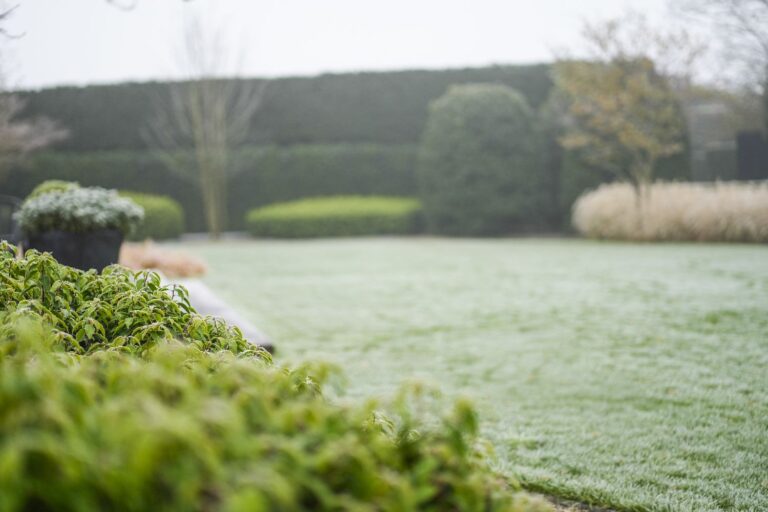 Jos Bouwhuis Tuinen | Luxe moderne tuin