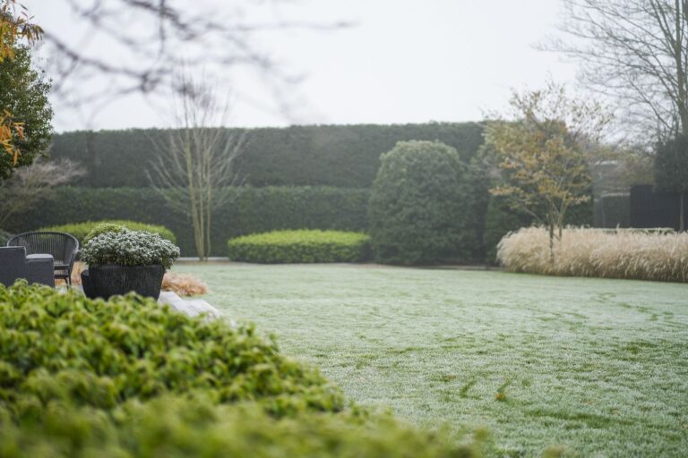 Jos Bouwhuis Tuinen | Luxe moderne tuin