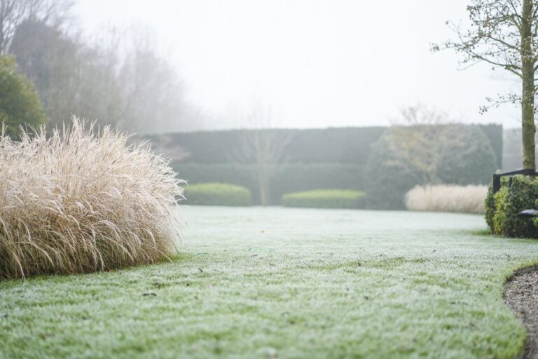 Jos Bouwhuis Tuinen | Luxe moderne tuin