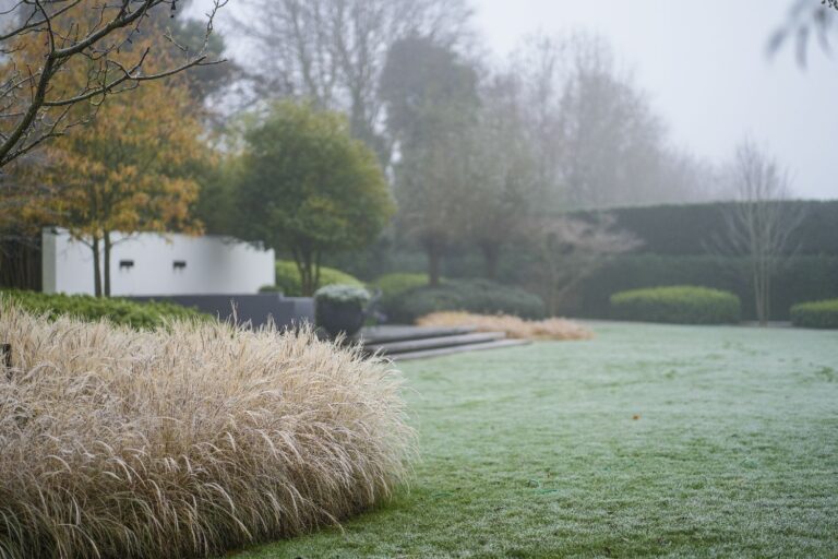 Jos Bouwhuis Tuinen | Luxe moderne tuin