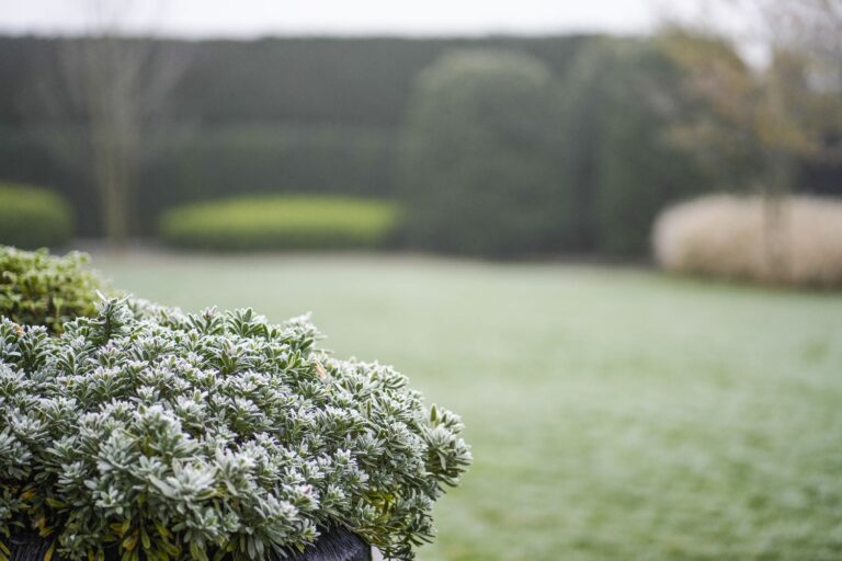 Jos Bouwhuis Tuinen | Luxe moderne tuin