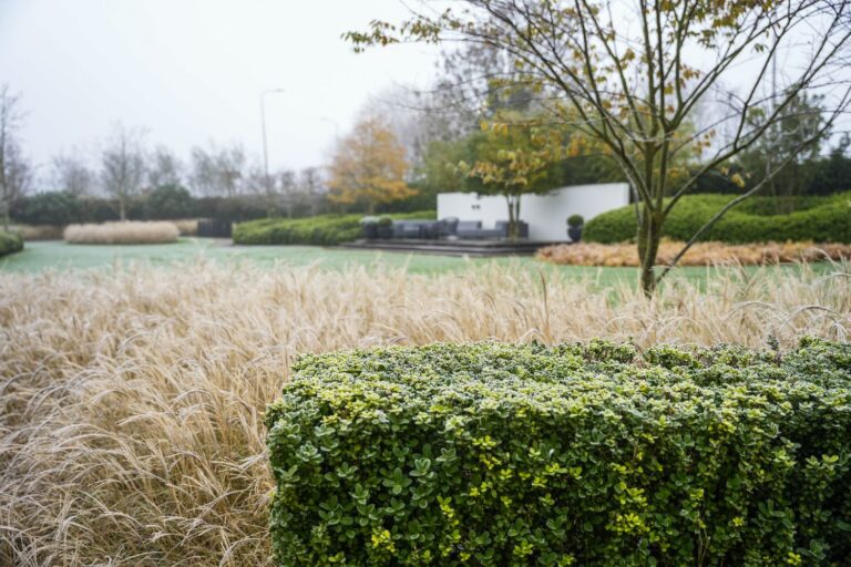 Jos Bouwhuis Tuinen | Luxe moderne tuin