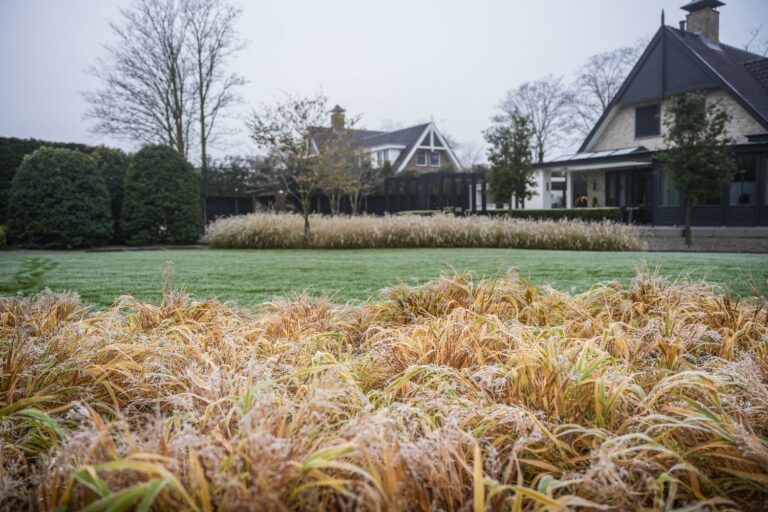 Jos Bouwhuis Tuinen | Luxe moderne tuin