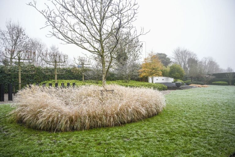 Jos Bouwhuis Tuinen | Luxe moderne tuin