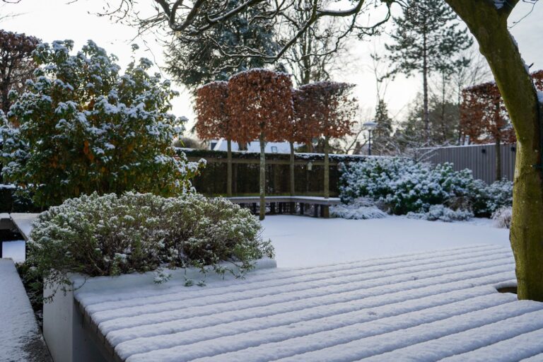 Jos Bouwhuis Tuinen | Moderne tuin met zwembad