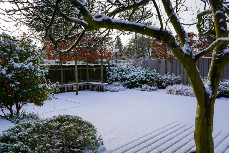 Jos Bouwhuis Tuinen | Moderne tuin met zwembad