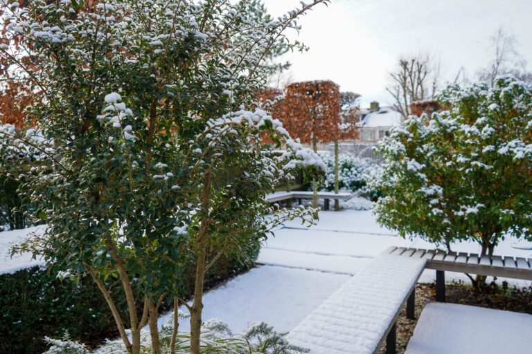 Jos Bouwhuis Tuinen | Moderne tuin met zwembad