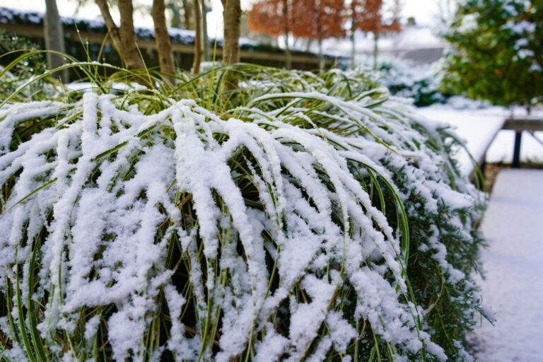 Jos Bouwhuis Tuinen | Moderne tuin met zwembad