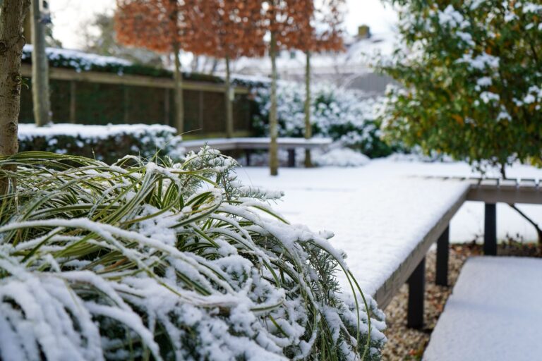 Jos Bouwhuis Tuinen | Moderne tuin met zwembad