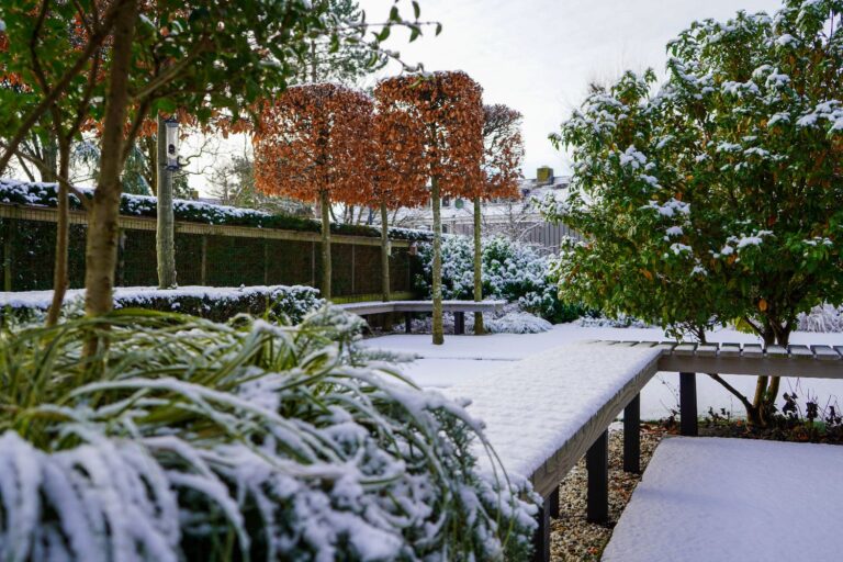 Jos Bouwhuis Tuinen | Moderne tuin met zwembad