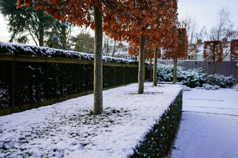 Jos Bouwhuis Tuinen | Moderne tuin met zwembad