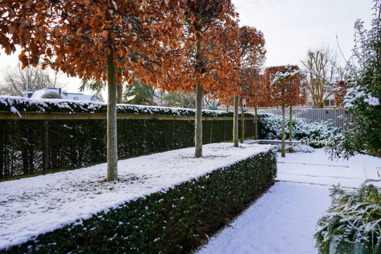 Jos Bouwhuis Tuinen | Moderne tuin met zwembad