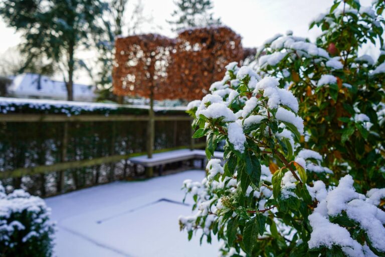 Jos Bouwhuis Tuinen | Moderne tuin met zwembad