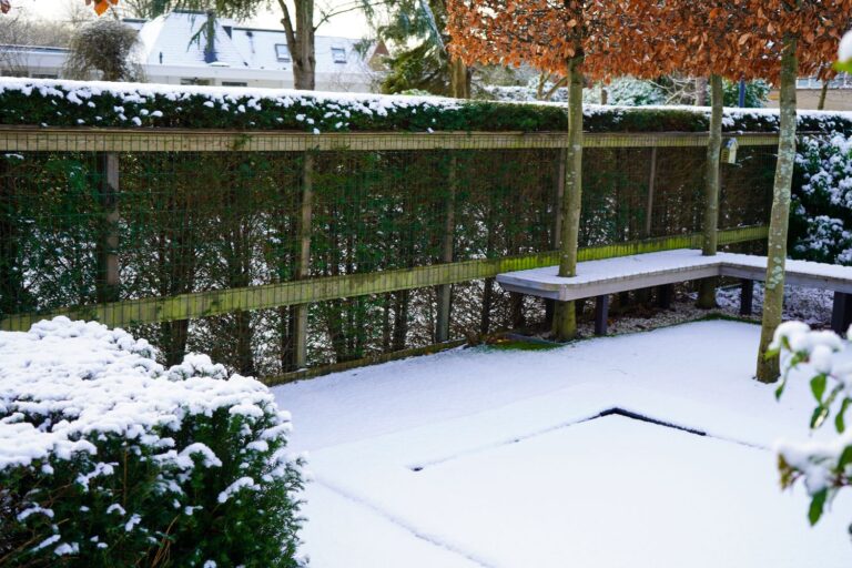 Jos Bouwhuis Tuinen | Moderne tuin met zwembad