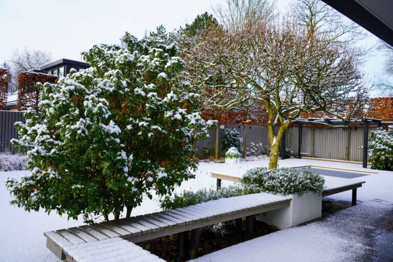 Jos Bouwhuis Tuinen | Moderne tuin met zwembad