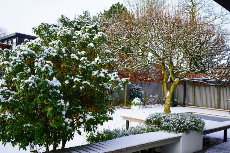 Jos Bouwhuis Tuinen | Moderne tuin met zwembad