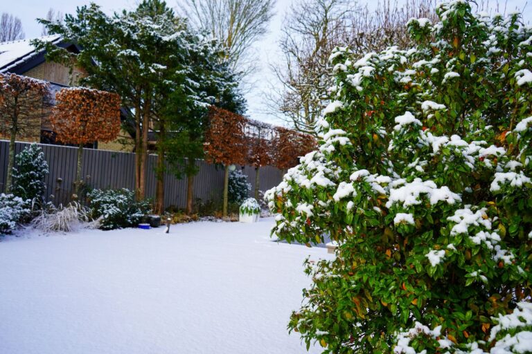 Jos Bouwhuis Tuinen | Moderne tuin met zwembad