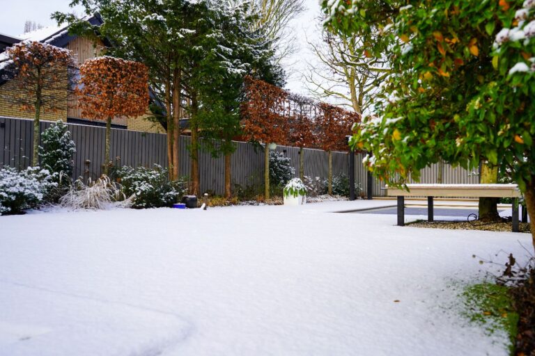 Jos Bouwhuis Tuinen | Moderne tuin met zwembad