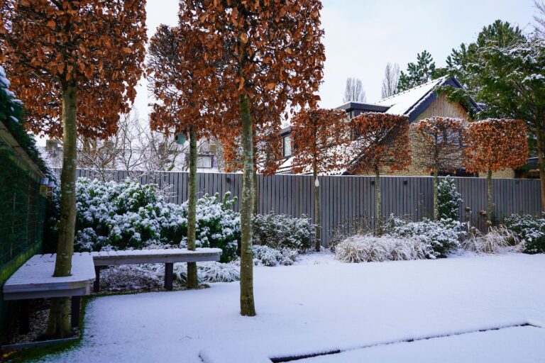 Jos Bouwhuis Tuinen | Moderne tuin met zwembad