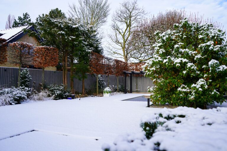 Jos Bouwhuis Tuinen | Moderne tuin met zwembad