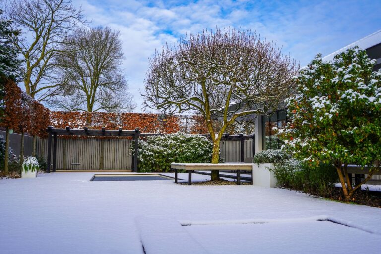 Jos Bouwhuis Tuinen | Moderne tuin met zwembad