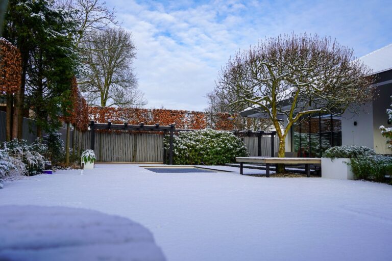 Jos Bouwhuis Tuinen | Moderne tuin met zwembad