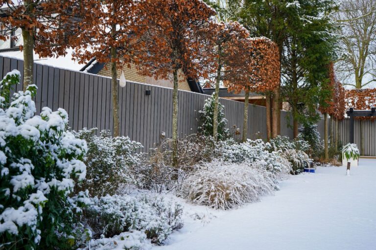 Jos Bouwhuis Tuinen | Moderne tuin met zwembad