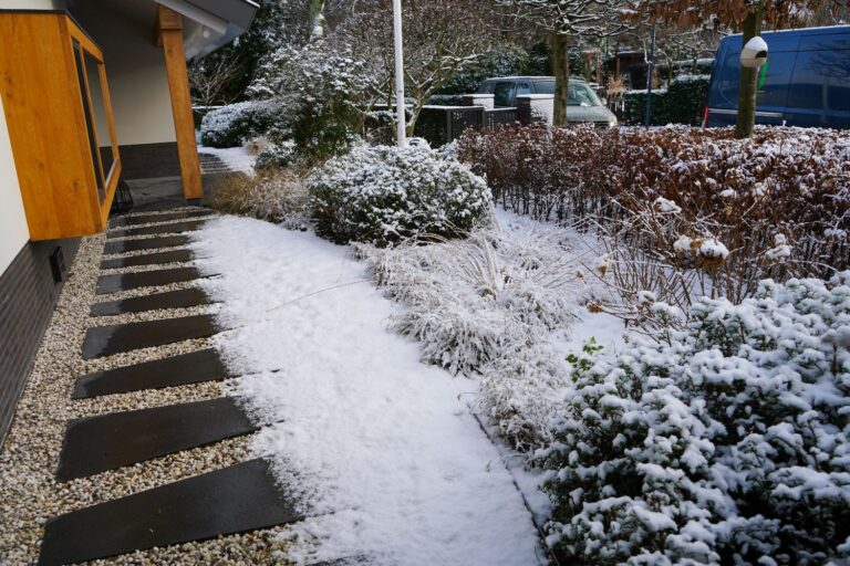 Jos Bouwhuis Tuinen | Moderne tuin met zwembad