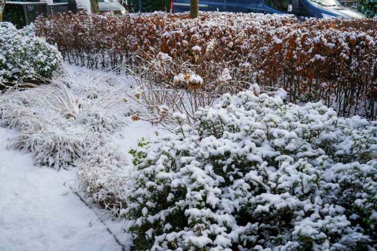 Jos Bouwhuis Tuinen | Moderne tuin met zwembad