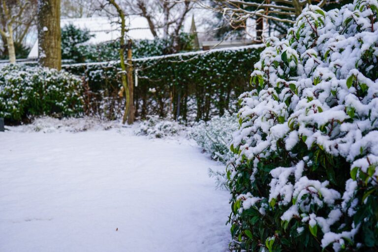 Jos Bouwhuis Tuinen | Moderne tuin met zwembad