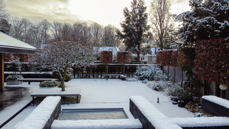 Jos Bouwhuis Tuinen | Moderne tuin met zwembad