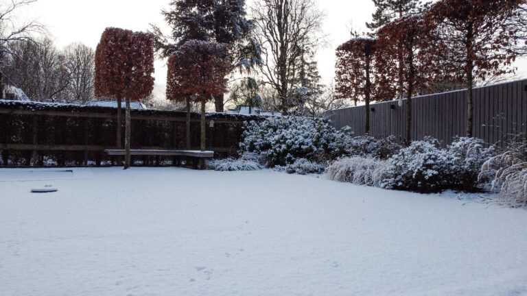 Jos Bouwhuis Tuinen | Moderne tuin met zwembad