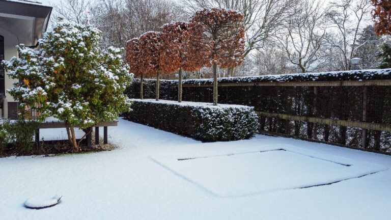 Jos Bouwhuis Tuinen | Moderne tuin met zwembad