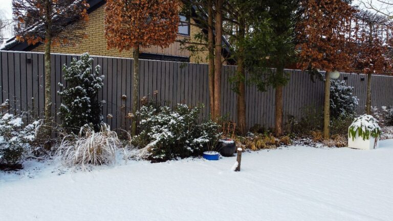 Jos Bouwhuis Tuinen | Moderne tuin met zwembad