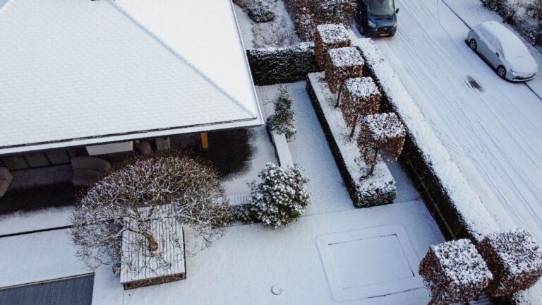 Jos Bouwhuis Tuinen | Moderne tuin met zwembad